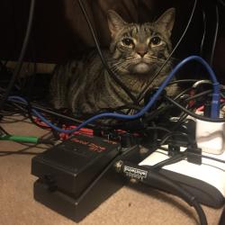 Fundraising Page Image