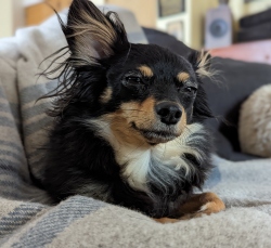 Fundraising Page Image