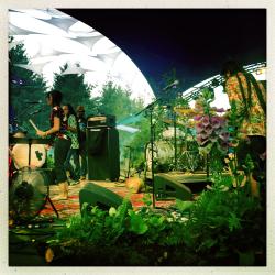 Fundraising Page Image