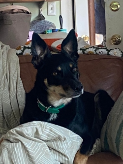 Fundraising Page Image