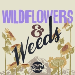 Fundraising Page Image