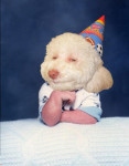 Fundraising Page Image